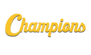 Google Validation Logo 2250×1365 Champions roofing near me fort myers naples cape coral