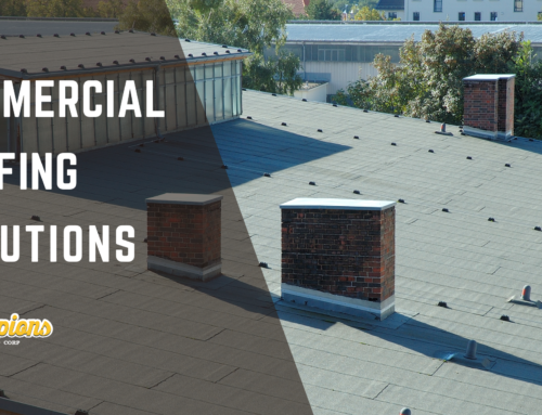 Commercial Roofing in Naples: Solutions for Different Business Types